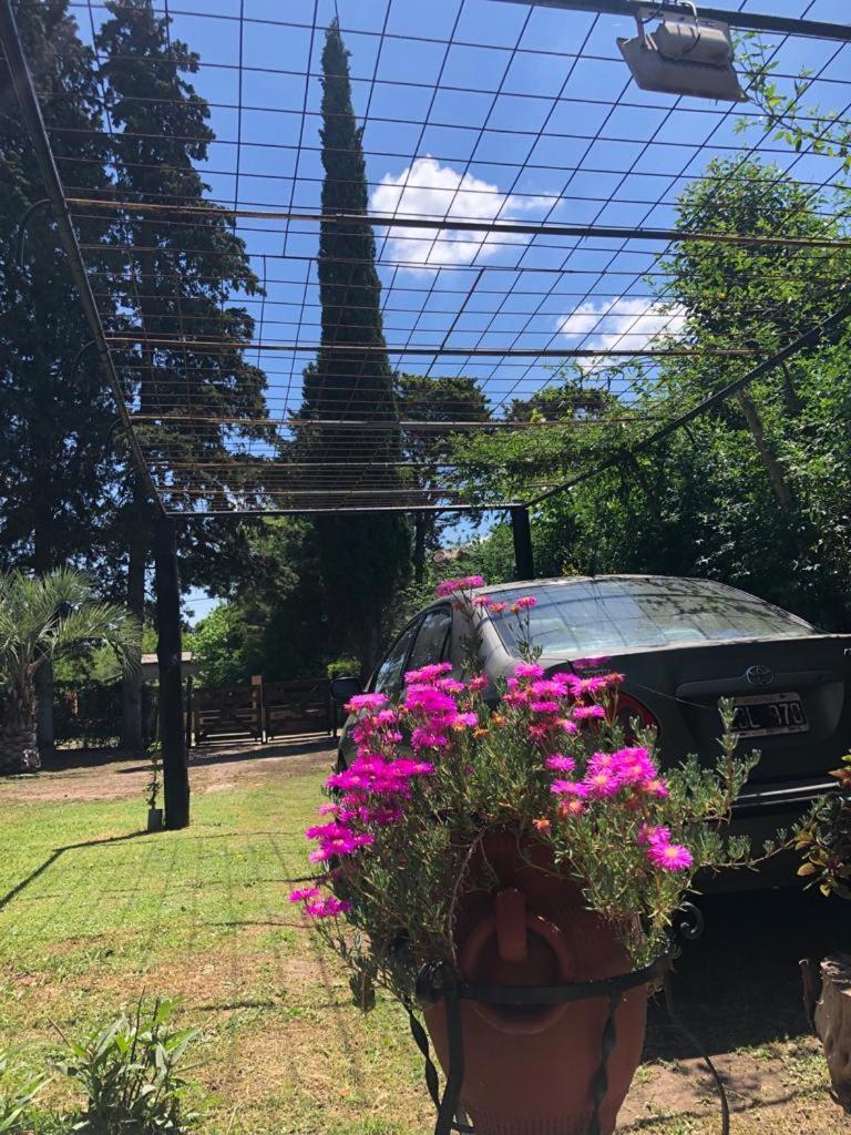 Vila Ezeiza Quinta Cedro Azul 10 Min Del Aeropuerto Exteriér fotografie